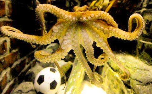 �����Ĵ��ֵ�˯ǰ����