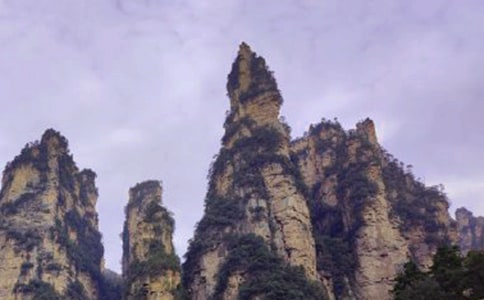 游张家界作文700字_三年级写景作文