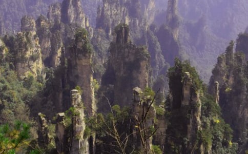 �˽̰桶���˵��żҽ硷��ѧ���