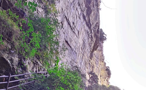 �żҽ����꼶���Ļ���6ƪ