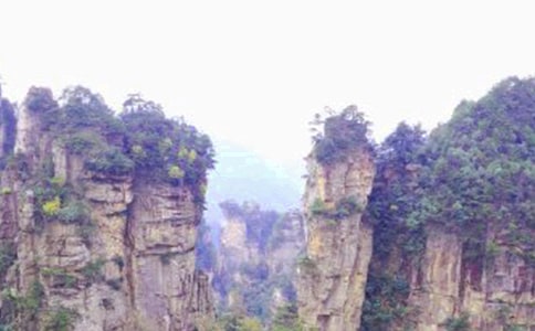 ���żҽ�����[��Ʒ15ƪ]