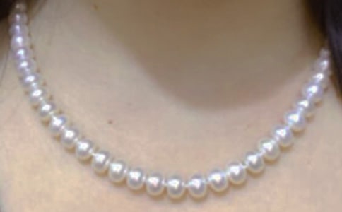 ����ʹ���Լ���Ϊ���顷�и�