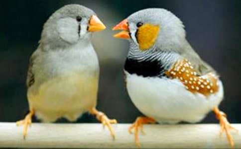 �˽̰����꼶�ϲᡶ�����񡷿��Ľ̰�