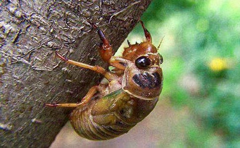 ץ֪�˵ľ�������