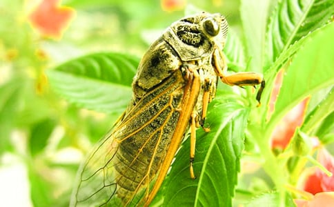 ����֪�˵�����