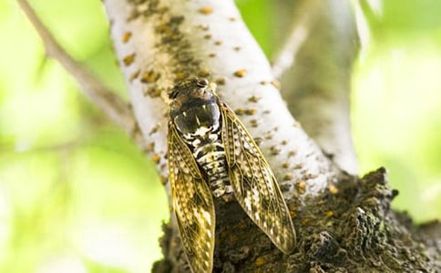 ֪��ѧ������