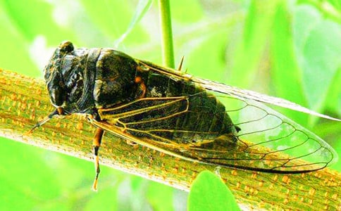 �����䣩֪�˵�����7ƪ