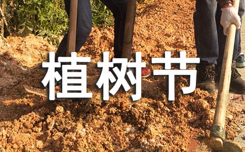 ֲ����������������