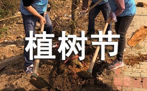小学生植树节的宣传标语13篇