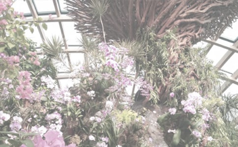 ȥֲ��԰���ռ�