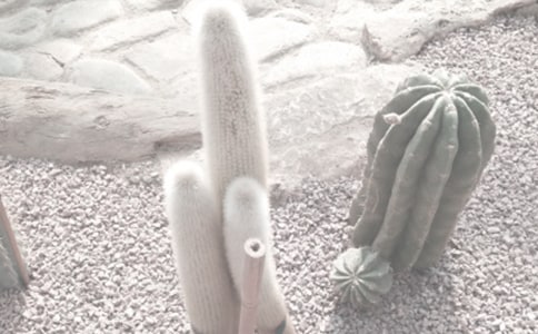 ֲ��԰�ۺ��400��