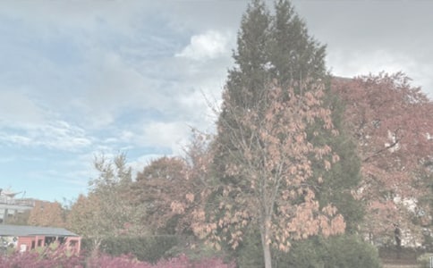 游植物园作文700字