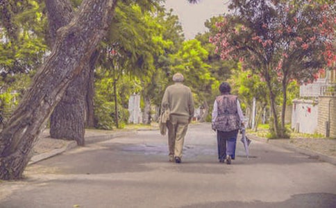 关于《中年是不断进化的》的阅读题