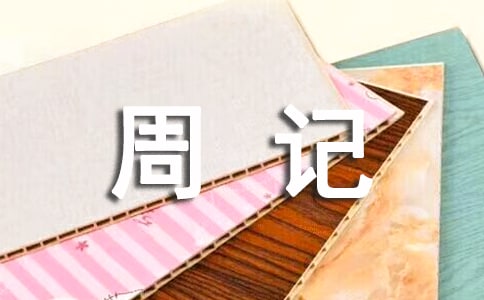 ����ѡ��Сѧ�ܼǻ���ƪ