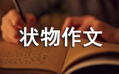 【精华】初一状物作文3篇
