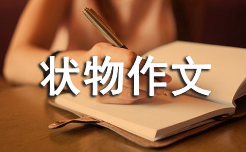 ��ʵ�á���һ״��������ƪ