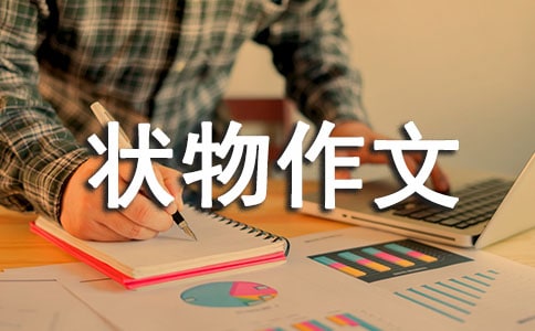 三年级状物作文:藕