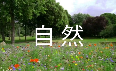 ��������Ȼ��¶�������꼶