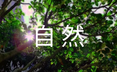 《自然之道》说课稿