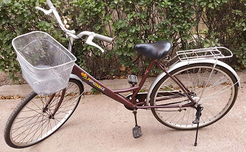 第一次骑自行车的小学生作文500字