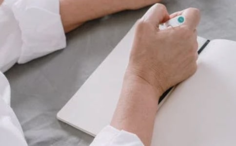 拜年初三500字作文