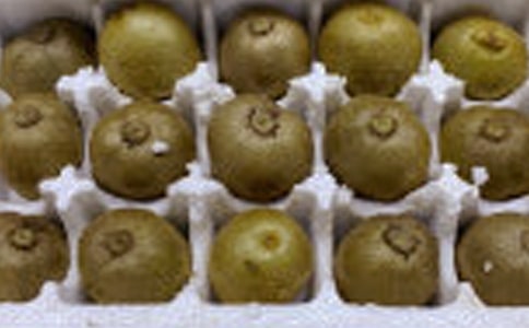 ��������⨺���ɢ��