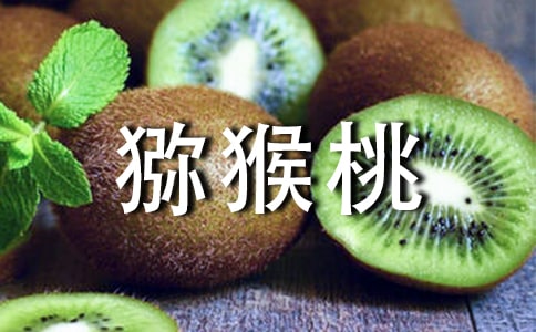 ⨺������ġ�����15ƪ��