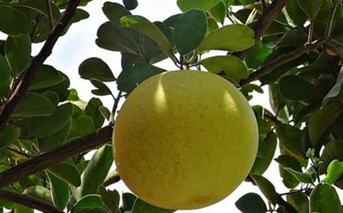 (����)���ӵ�����15ƪ