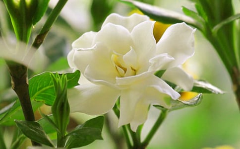 �����ӻ���������̨��