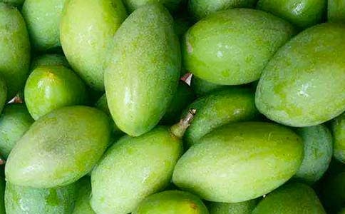 ����魵�������