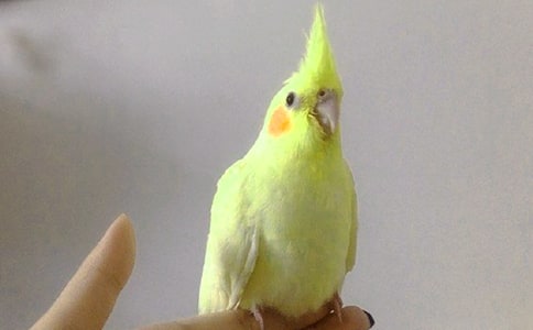 ���ϼ����ɰ�����������