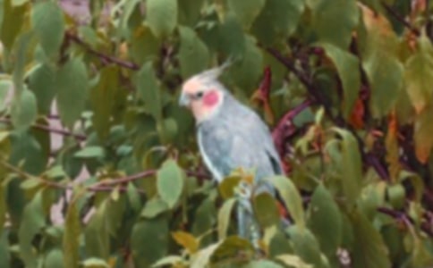 ������������