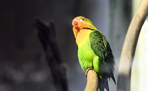 ����ѧ��