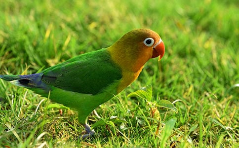 �����ֵ�Ԣ�Թ���