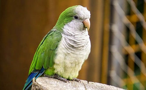 ��������.ũ����꡷������Ԫ��ԭ������