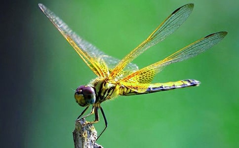 �ŷ������ռ�