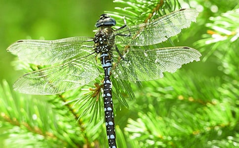 ��ͨ���Ѽ�ʻ�����ͼ