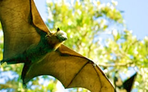 �¸ҵ��ҡ���ս������