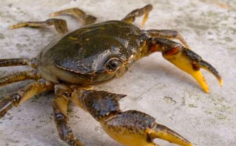 �������з����