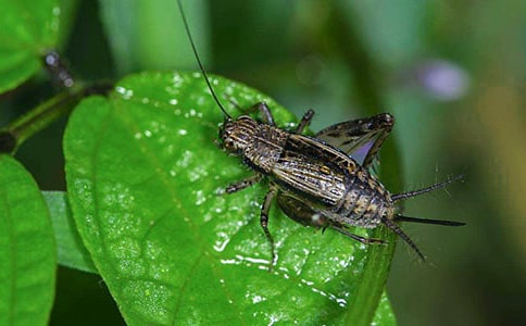 �����סլ����ѧ��ƣ�ͨ��5ƪ��