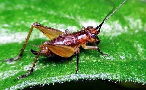 С��Ļ����µ�ͯ������