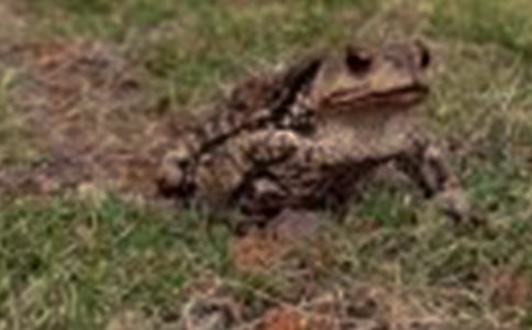 ������ܺͻ��ߵĹ���