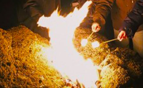 ��̲�ϵ���������