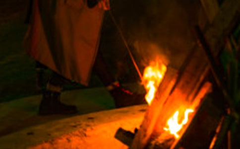 ���ֵ������������꼶���ģ���ѡ17ƪ��