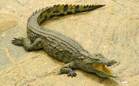 �������������из���