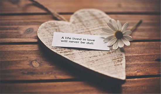 �����š�2023�갮����¼�̾�73��