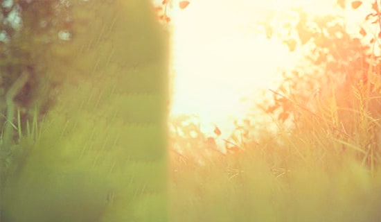 Ψ��ɭϵ����ǩ��