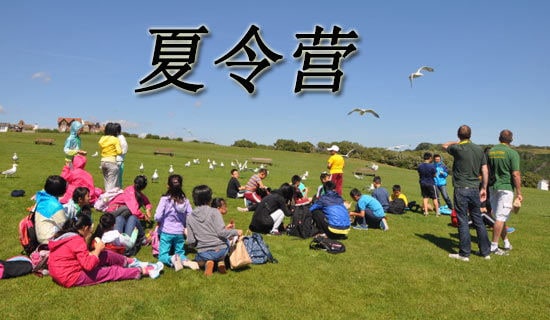 ����Ӫ�ķ��Ը巶�ģ�ͨ��6ƪ��