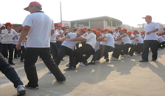 �����������꼶�κӱ�������300��3ƪ