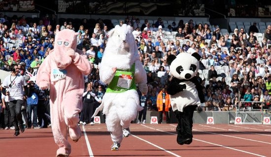 2021ְ���˶��ῪĻʽ�볡��˵�ʣ���ѡ5ƪ��